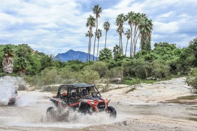 Cabo san lucas, rancho tierra sagrada e buffet messicano fronte mare: vivi l’adrenalina su utv tra i canyon e rilassati con pranzo tipico e degustazione di tequila. pickup incluso.