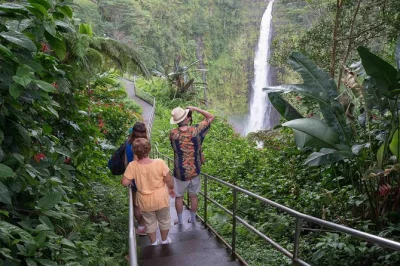 Descubre cascadas privadas en big island, pasea por jardines tropicales y disfruta las impresionantes vistas del valle de waipio. tour en grupo pequeño con recogida y almuerzo picnic incluidos.