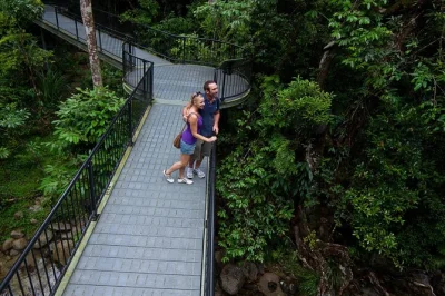 Feel the rainforest’s quiet, taste tropical fruits and watch for crocs on a cape tribulation, daintree & mossman gorge day trip from cairns or port douglas. includes lunch & pickup.
