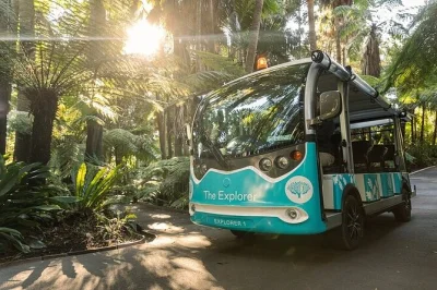 Feel the calm of melbourne’s royal botanic gardens on an open-air minibus tour with live commentary, local stories, and easy pickup—wheelchair & family friendly.
