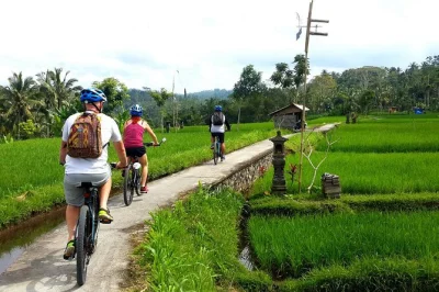 Erlebe ubud mit dem e-bike: fahrt durch reisterrassen, dörfer und kaffeepausen. inkl. hoteltransfer, guide und traditionellem balinesischem mittagessen.
