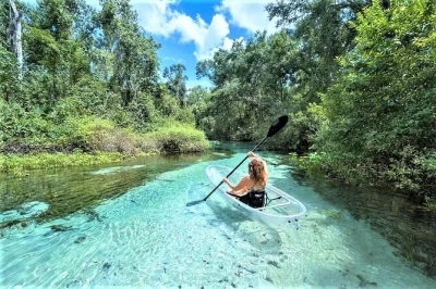 Découvrez les eaux limpides de rock springs en kayak transparent, observez tortues et loutres, et profitez d’une baignade lors d’une sortie éco en petit groupe avec guide et photos incluses.