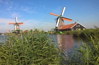 Vivi la campagna olandese a zaanse schans con visite ai mulini a vento, degustazione di formaggi e dimostrazione dal vivo della lavorazione degli zoccoli. include transfer e guida locale.