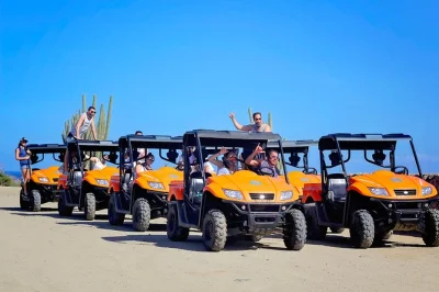 Feel aruba’s wild side on a utv tour—cliff jump into the cave pool, feed animals at philip’s garden, and explore windswept beaches. includes pickup & guide.