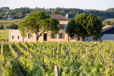 Walk medieval saint emilion, taste grand cru reds at a local château, and enjoy a relaxed half-day trip from bordeaux with transport and english-speaking guide included.
