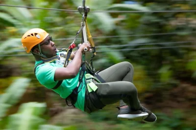 Feel the rainforest air in st lucia with ziplining, an aerial tram ride, and a guided hike—includes all gear, local guide, and easy pickup from castries hotels.