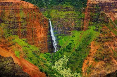 Scopri il lato selvaggio di kauai con un tour di un giorno al waimea canyon, passeggia tra i sentieri di koke'e, assaggia il caffè fresco alla kauai coffee company e approfitta del pick-up in hotel.