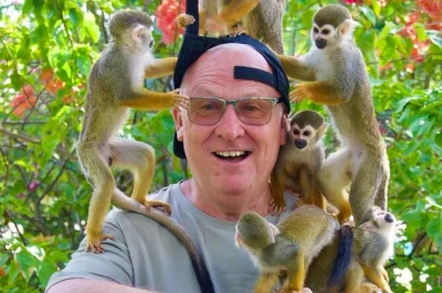Feed monkeys, bottle-feed babies, and enjoy a private animal encounter in the dominican republic. includes pickup, small group access, and pro photos.