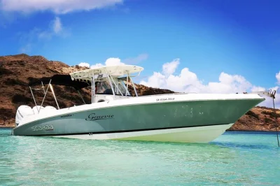 Feel the rush of st maarten’s waters on a speed boat tour with snorkeling, beach stops, lunch, and jet landings overhead. includes pickup and local guide.