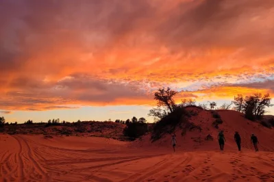 Chase the sunset at peekaboo slot canyon with a private utv ride, sandboarding on glowing dunes, and local guides—includes bottled water and all transport.