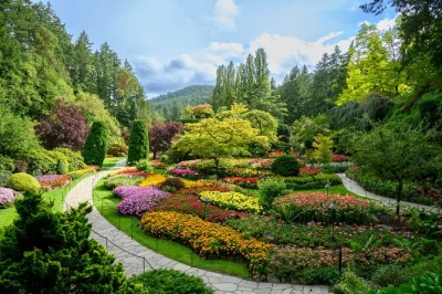 Scopri victoria e i butchart gardens con una gita guidata da vancouver, tra traversate in traghetto, passeggiate in città e tempo libero nei famosi giardini. ingresso salta fila incluso.