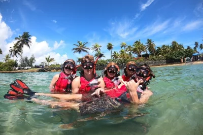 Swim with green sea turtles in san juan’s clear bay, guided by a local expert. includes all snorkel gear, small group, and free underwater video to keep.