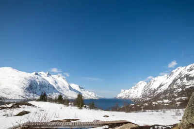 Feel the wild side of tromsø’s fjords on a guided day trip with wildlife spotting, pro photography tips, and a seaside lunch—includes photos and pickup.