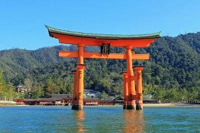Scopri il parco della pace di hiroshima, prendi il traghetto per l’isola di miyajima, visita il santuario itsukushima e assaggia l’autentico okonomiyaki con pranzo e ingressi inclusi.