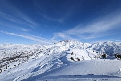 Feel the cool mountain air near tashkent on a day trip to amirsoy, chimgan & charvak. hike, try local tea, and enjoy easy hotel pickup with a friendly guide.