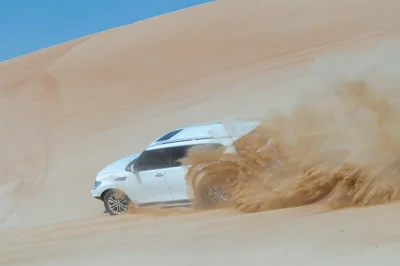Book a full-day abu dhabi desert safari with dune bashing, camel rides, sandboarding, and dinner. includes pickup, shows, and family-friendly activities.