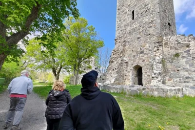 Step into sweden’s viking past on a full-day trip from stockholm to sigtuna & uppsala, with runestones, ancient mounds, and a local guide. includes pickup.
