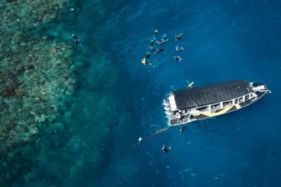Feel the rush of a fast boat ride from cairns, snorkel the great barrier reef with a guide, and enjoy snacks on board. includes equipment and stinger suits.