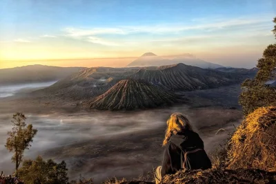 Wake up for a mount bromo sunrise day trip from surabaya or malang, ride a 4wd jeep, sip coffee at king kong hill, and trek the caldera with pickup included.