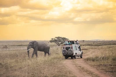 Wake up to wild sounds in serengeti, spot lions in ngorongoro crater, and wander tarangire’s baobab valleys. includes private vehicle, guide, and all park fees.