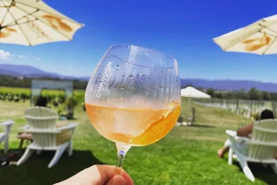 Savor yarra valley’s best with wine, cheese & chocolate tastings, a sparkling stop at chandon, and a wild kangaroo safari. includes city pickup & small group.