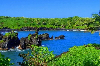 Erlebe die kurvenreiche road to hana in kleiner gruppe, genieße warmes bananenbrot, schwimme an schwarzen sandstränden und lausche den geschichten lokaler guides. inklusive mittagessen & abholung.