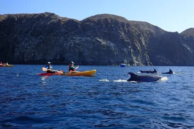 Feel the thrill of kayaking near los cristianos cliffs, snorkel with turtles, and pause at pal mar cave. includes gear, snacks, and local guides. reserve your spot.