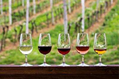 Wind through texas hill country from austin, taste local wines at award-winning wineries, and finish in the st. elmo arts district—includes transport & local guide.