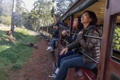 Breathe in the dandenong ranges on puffing billy, meet koalas at healesville sanctuary, and enjoy a scenic yarra valley drive—includes train ticket & park entry.