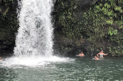 Erlebe maui hautnah auf der road to hana tour in kleiner gruppe – schwarze sandstrände, versteckte wasserfälle und lokale snacks. inklusive hotelabholung, mittagessen und erfahrener guide.