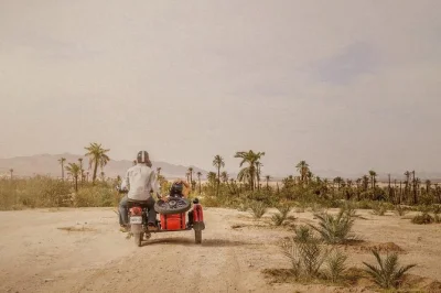 Erlebe marrakesch hautnah bei einer privaten sidecar-tour durch geheime gärten, art-déco-straßen und den palmenhain. inkl. guide, helme & wasserflasche.
