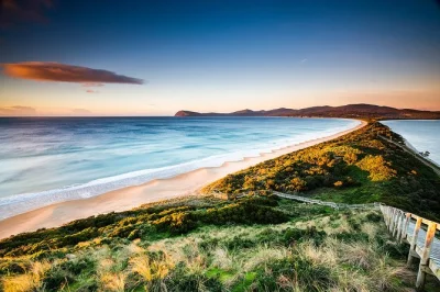 Feel the salt air on bruny island’s wild coast, taste fresh oysters, walk rainforest trails, and enjoy a pub lunch. includes hotel pickup and local guide.