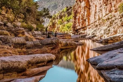 Feel the cool air of paradise valley, walk palm-lined trails, and taste local honey on this agadir day trip. includes pickup, guide, and a garden visit.