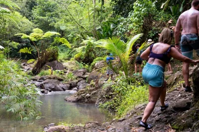 Sample fresh fruit, wander anse la raye’s colorful streets, and swim at venus estate waterfall on this saint lucia rainforest hike—includes hotel pickup and local guide.