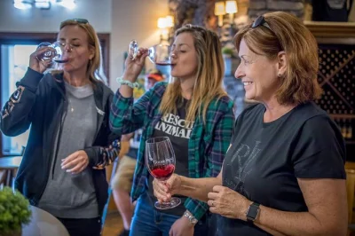 Let yourself drift from seattle to woodinville’s boutique wineries, taste local reds, and feel the mist at snoqualmie falls—all with pickup and a local guide.