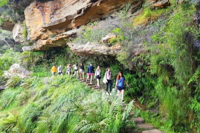 Feel the wild air of the blue mountains on a small group day trip from sydney, with a local guide, waterfall hike, fresh lunch, and aussie snacks included.