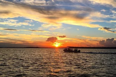 Watch dolphins at sunset on a hilton head cruise, explore salt marshes, and enjoy stories from a local captain. includes bottled water and wildlife spotting.