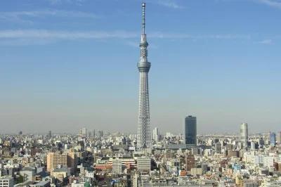 Scopri tokyo in un giorno: santuario meiji, templi di asakusa, assaggio di matcha, vista dal skytree e crociera nella baia di tokyo. include pickup e pranzo.