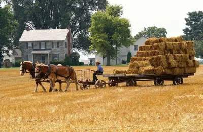 Step into lancaster’s amish country with a guided farmlands tour, the moving jacob’s choice film, and a walk through an amish homestead—all with local guides and easy pickup.