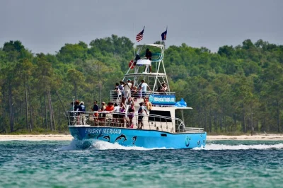 Découvrez pensacola beach lors d’une croisière dauphins, observez la faune locale avec une équipe passionnée, et profitez d’un moment paisible sur l’eau. toilettes à bord et parking public 