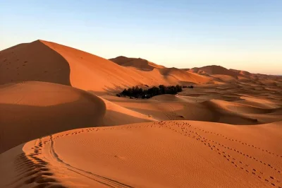 Erlebe die sahara von marrakech bis merzouga: 4 tage wüstentour mit kamelritt, tee bei nomaden & Übernachtung unter sternen. inkl. abholung & unterkünfte.
