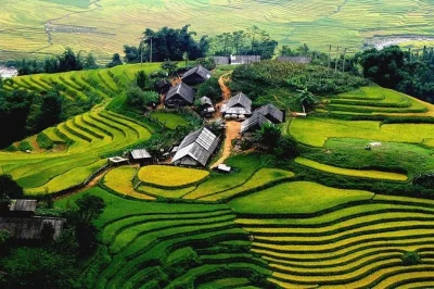 Wake up in sapa, trek rice terraces to cat cat & ta van, meet h’mong locals, and enjoy hotel comfort. includes hanoi pickup, meals, and local guide support.