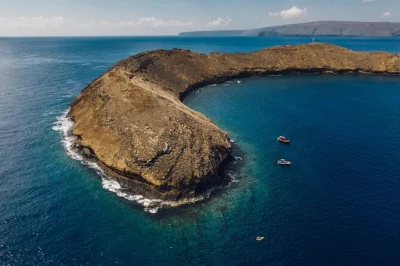 Starte deinen morgen mit einer bootsfahrt von maui zum molokini-krater, schnorchle im klaren wasser vor den menschenmassen und genieße fachkundige begleitung – ausrüstung inklusive.