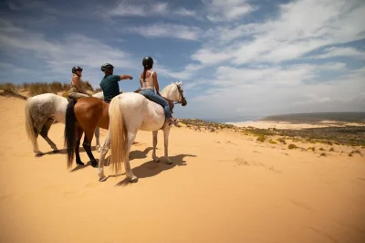 Erlebe die frische atlantikbrise bei einer pferdetour in carrapateira – vorbei an wilden klippen und weichen dünen mit erfahrenem guide. kleine gruppen, helme inklusive, jetzt buchen.