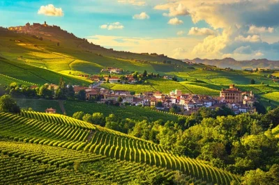 Piemonte, vini barolo, visite ad alba e castello unesco: degustazione in cantina, passeggiata tra le vie storiche e panorami unici, con guida locale e piccolo gruppo da milano.