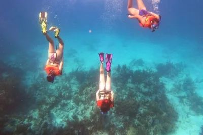Découvrez key largo en snorkeling sur deux récifs, avec tout le matériel fourni, des encas, et une équipe locale passionnée. embarquez pour une balade en bateau rapide avec crème solaire bio inc