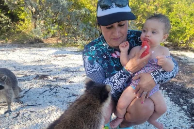 Découvrez les raton-laveurs de sandspur island, pagayez dans biscayne bay en kayak ou sup, et profitez de fruits frais et boissons. matériel, encas et guide local inclus pour une journée inoubliabl