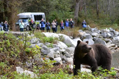 Découvrez bute inlet, son cœur sauvage : observation des grizzlis, sorties baleines et récits de la première nation homalco. snacks, guide local et balade en bateau chauffé inclus.