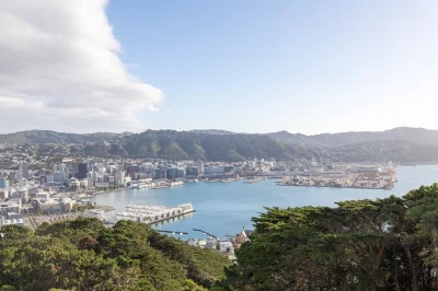 Feel the wellington wind, ride the iconic cable car, explore weta cave, and stroll rose gardens—all with a local guide and easy pickup from your hotel or cruise port.