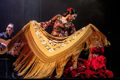 Viva a emoção do flamenco ao vivo no teatro flamenco sevilla, no coração de sevilha. música intensa, dança apaixonada e artistas locais — ingressos com assentos flexíveis.